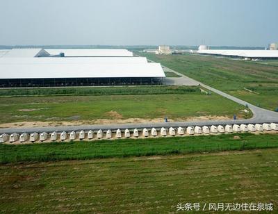 济南透明工厂工业旅游直通车第九站参观山东省最大的奶牛养殖基地