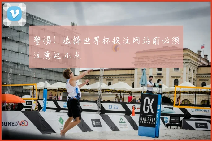 警惕！选择世界杯投注网站前必须注意这几点
