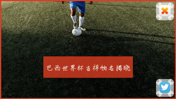 巴西世界杯吉祥物名揭晓