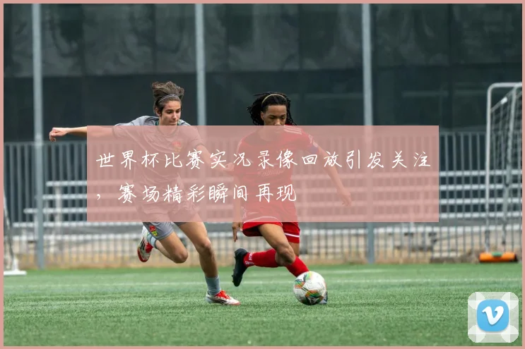 世界杯比赛实况录像回放引发关注,赛场精彩瞬间再现