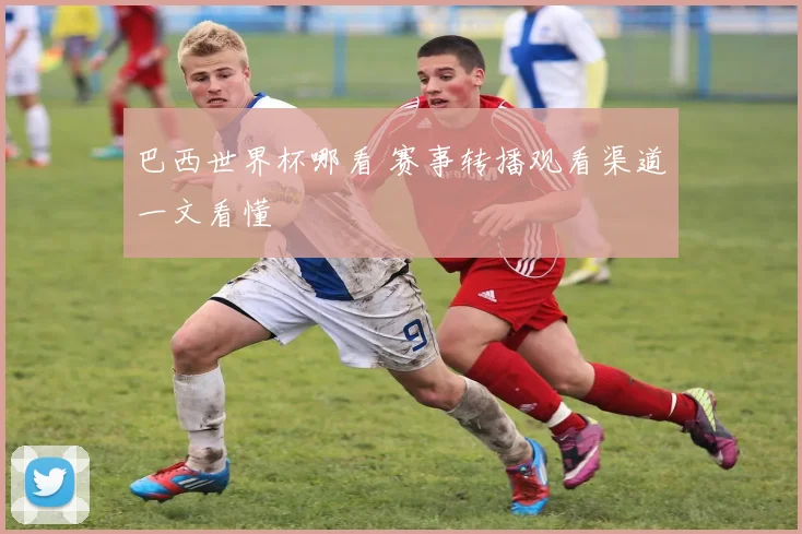 巴西世界杯哪看 赛事转播观看渠道一文看懂