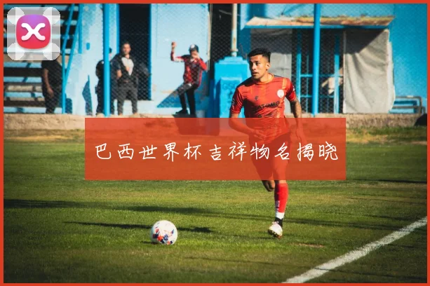 巴西世界杯吉祥物名揭晓